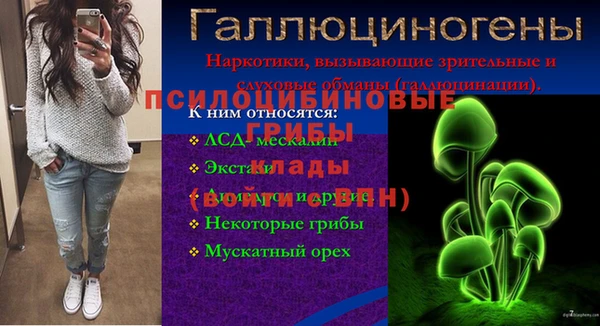 каннабис Гусиноозёрск