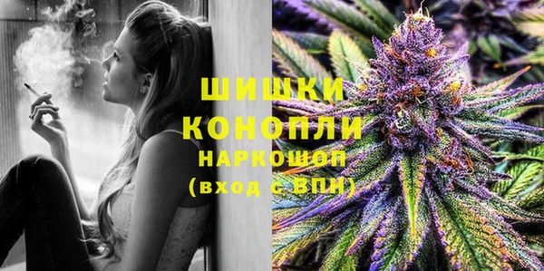 шишки Елизово