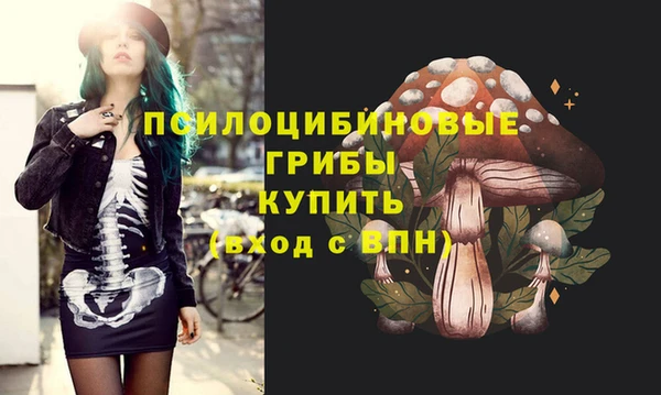 таблы Дмитров