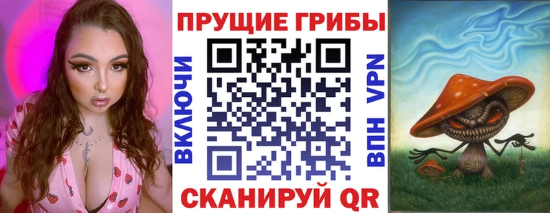 Галлюциногенные грибы Psilocybine cubensis  Купить где  Карабаш 
